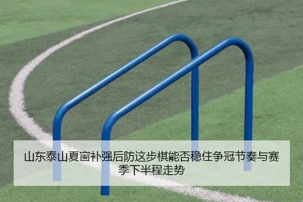 山东泰山夏窗补强后防这步棋能否稳住争冠节奏与赛季下半程走势 | Kaiyuan Qipai